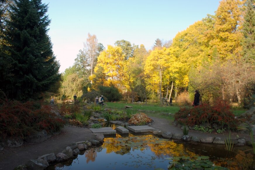 Arboretum w Rogowie szykuje się do wiosny
