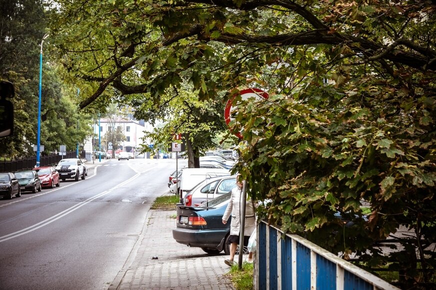 Pędzą ulicą Prymasowską, bo gałęzie zasłaniają znak 