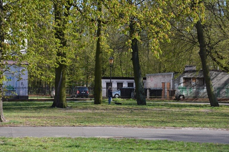 Władze miasta Żyrardów otwierają parki i tereny rekreacyjne. 