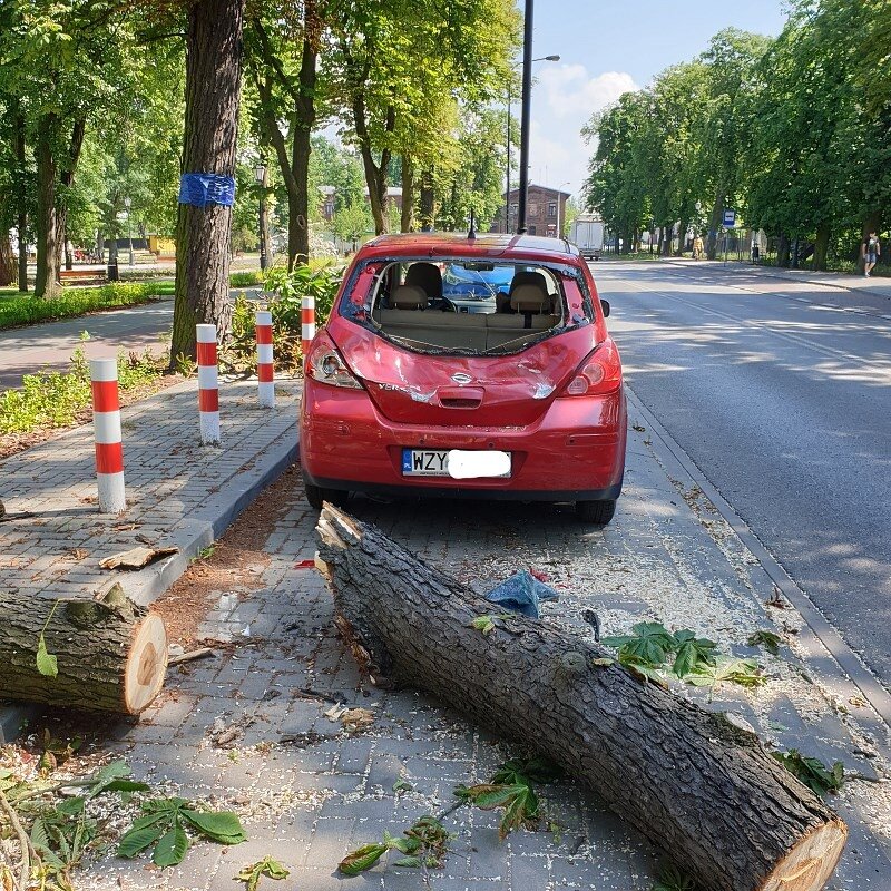 W sobotę 13.06.2020 r. ok. g. 12:50 przy al. Partyzantów w Żyrardowie na zaparkowany samochód osobowy upadło drzewo. 