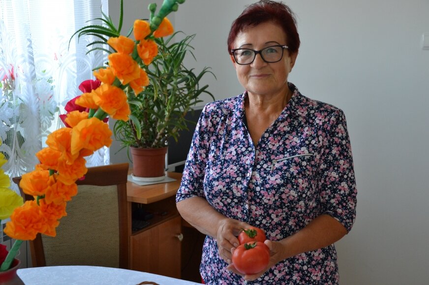 Prezes Wioski Pomidorowej Teresa Stępniak jeszcze nie wie czy w tym roku będzie Święto Pomidora.