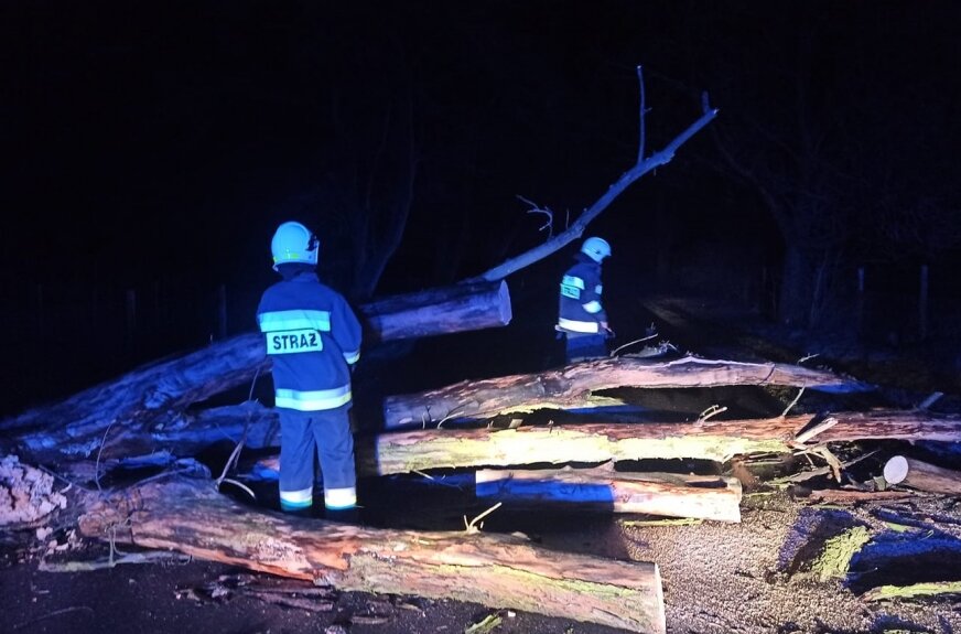 Alarm o godz. 1.50: w wyniku wichury, drzewo powalone na drogę powiatową w Prusach.  
