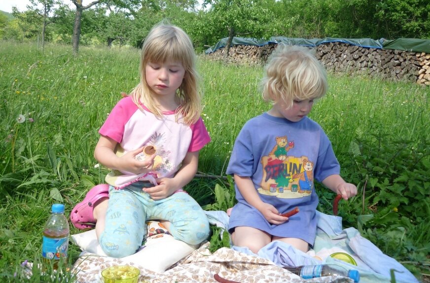 Rodzinny piknik z ekologią w tle 