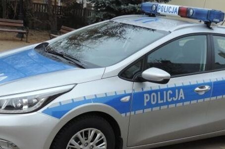 Ucieczka przed policją zakończona w stercie liści