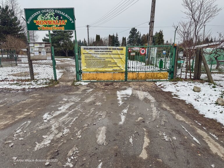 Działkowcy złożyli zawiadomienie o podejrzeniu przestępstwa. W dokumencie padają poważne zarzuty: nadużycie uprawnień, przywłaszczenie powierzonych środków i szkoda licząca setki tysięcy złotych. 