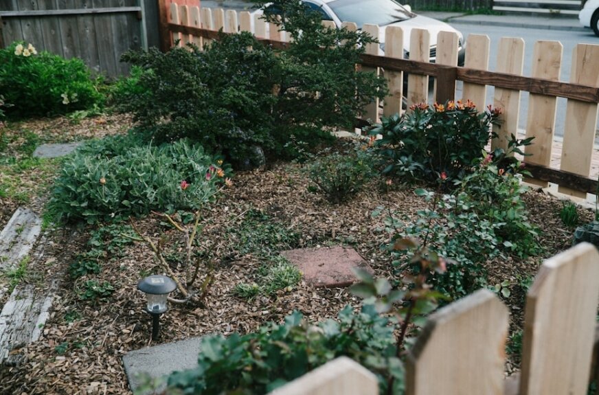 Praktyczne pomysły na dom i ogród, które warto wprowadzić u siebie