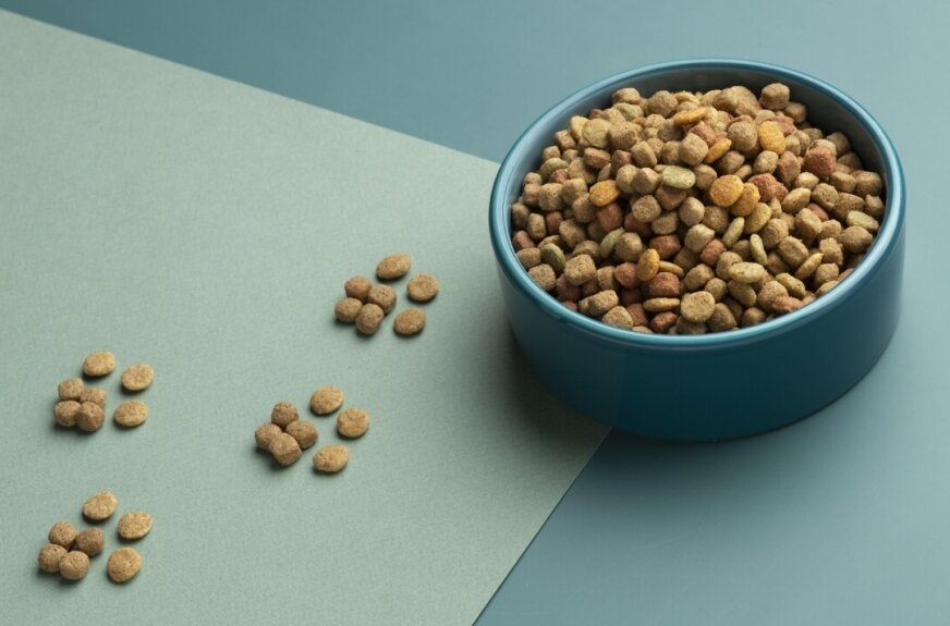 Sucha karma dla psa. Czego nie mówi Ci etykieta, a co decyduje o zdrowiu pupila