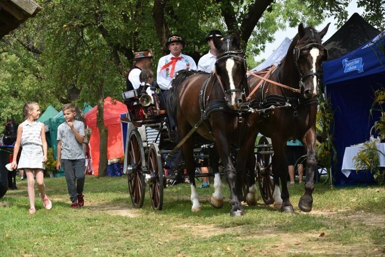  Dożynki 2021: gminny folklor w Zagrodzie Ludowej [ZDJĘCIA] 