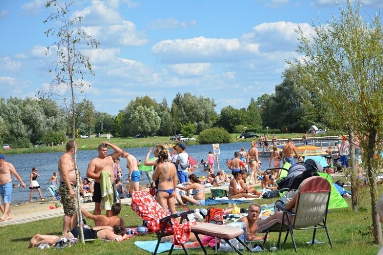  Akcja ekologów na Zalewem Żyrardowskim 