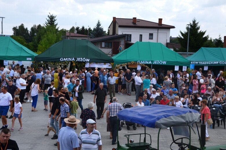  Burmistrz Jeżowa na dożynki wjechał wierzchem 