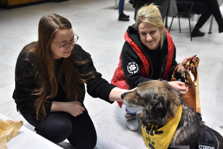  Grali dla psiaków i kociaków, zachęcali do ich adopcji 