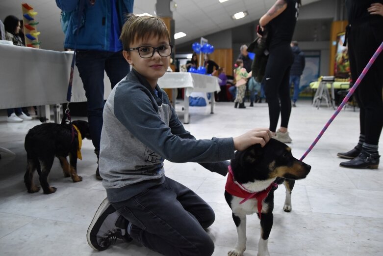  Grali dla psiaków i kociaków, zachęcali do ich adopcji 