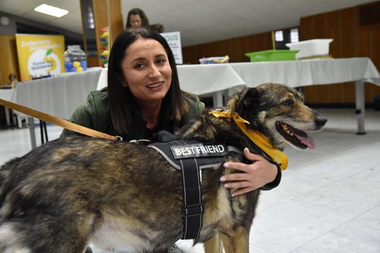  Grali dla psiaków i kociaków, zachęcali do ich adopcji 