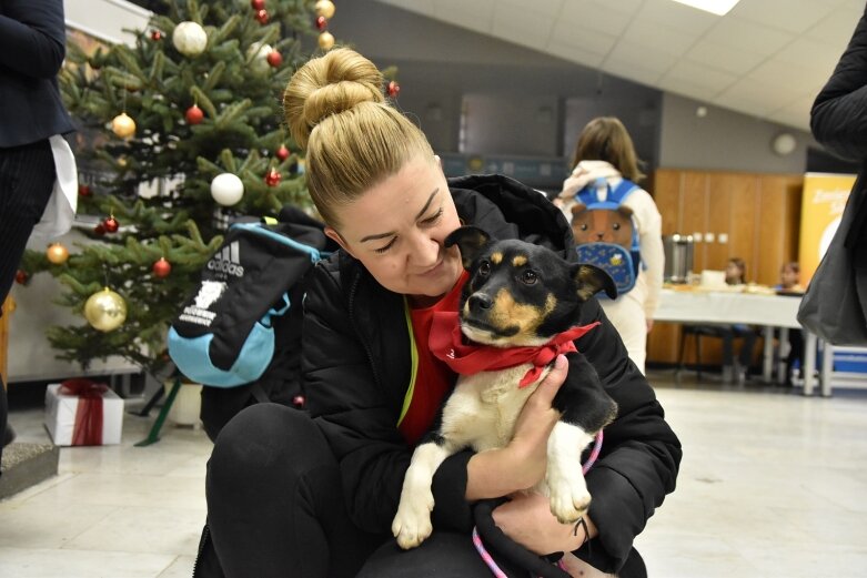  Grali dla psiaków i kociaków, zachęcali do ich adopcji 