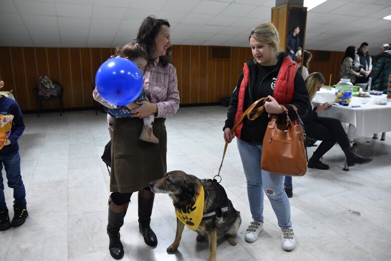  Grali dla psiaków i kociaków, zachęcali do ich adopcji 