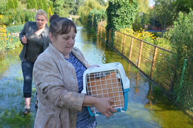  Kobiety ruszyły na pomoc kotom. Rawa pod wodą  