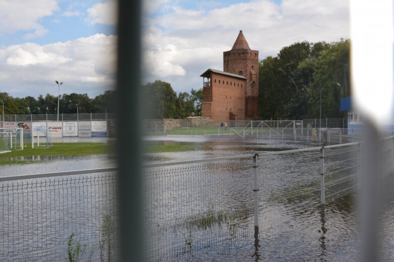  Kobiety ruszyły na pomoc kotom. Rawa pod wodą  