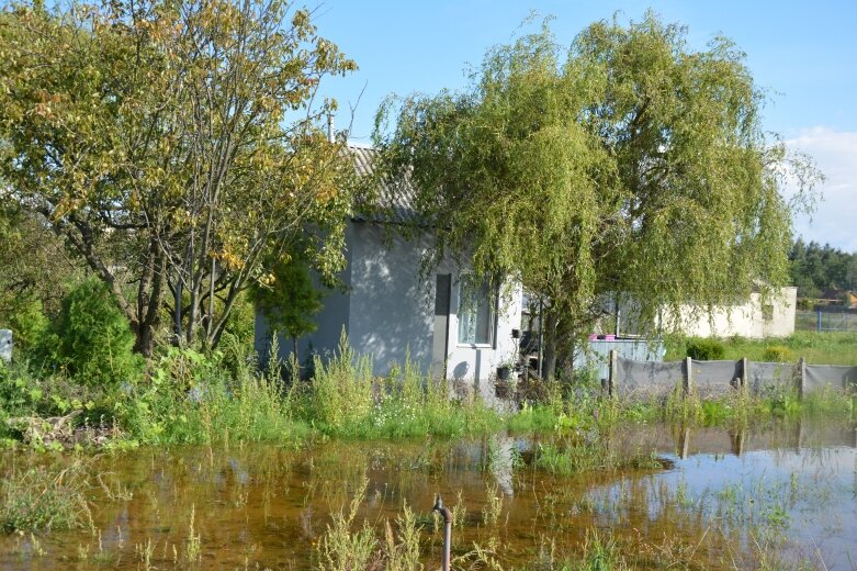  Kobiety ruszyły na pomoc kotom. Rawa pod wodą  