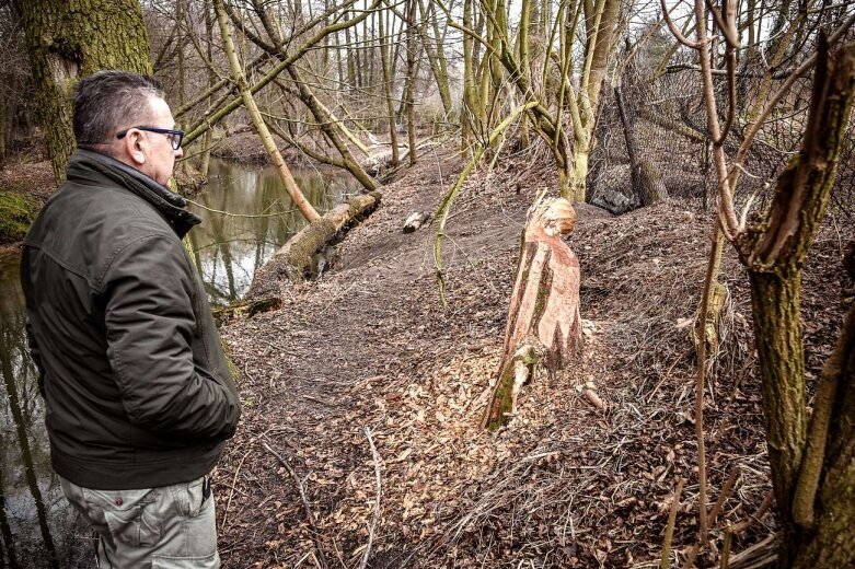  Królestwo bobrów jest w Skierniewicach 