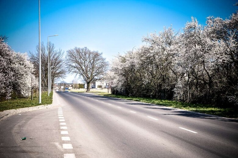  Kwitnąca ulica Sobieskiego w Skierniewicach [ZDJĘCIA] 