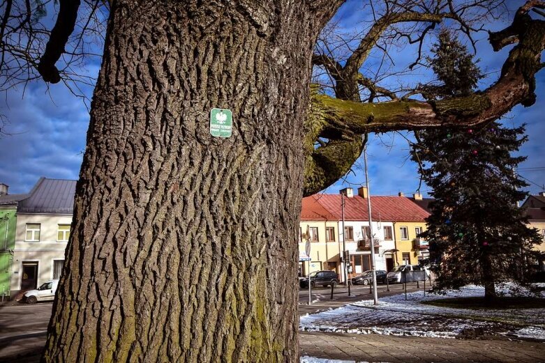  Niszczą centrum Rawy? Pokazujemy, jak jest i jak będzie [ZDJĘCIA] 