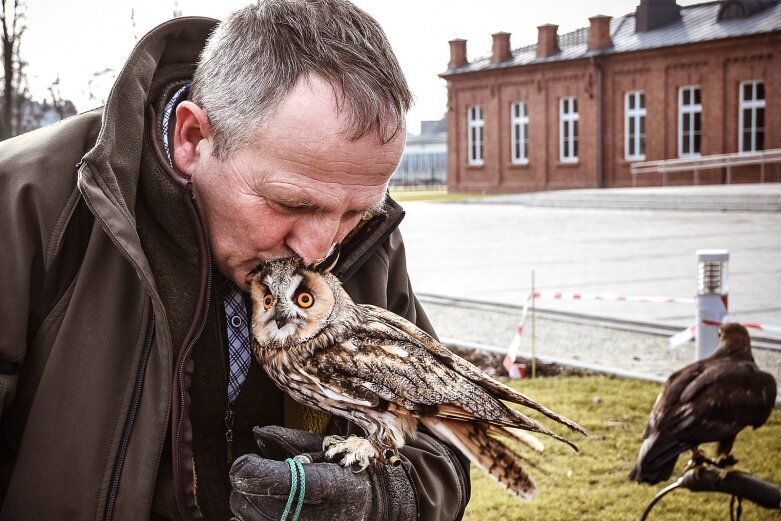  Orły, sokoły... i sowa w Skierniewicach 