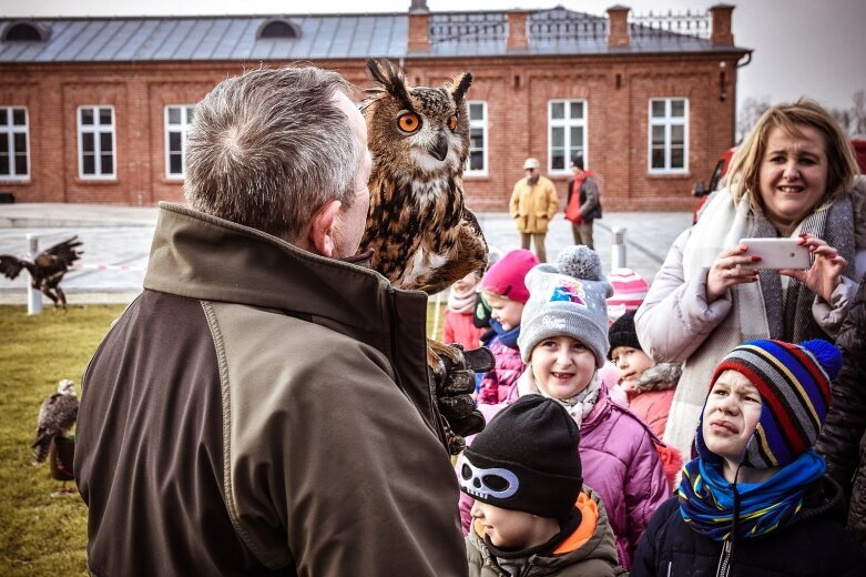  Orły, sokoły... i sowa w Skierniewicach 