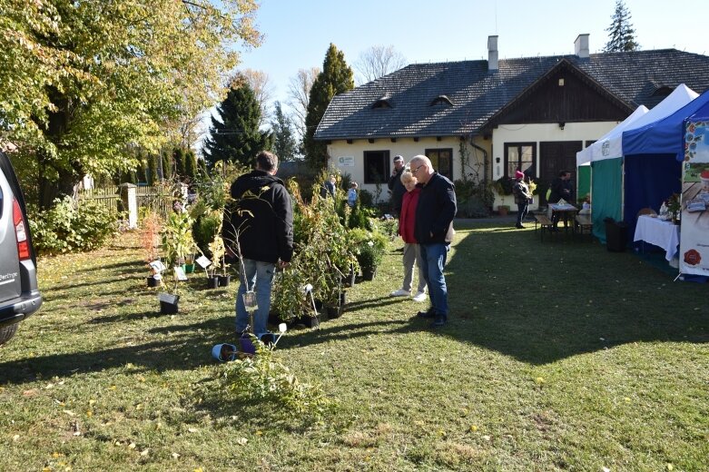 Owocowa jesień w Prusach