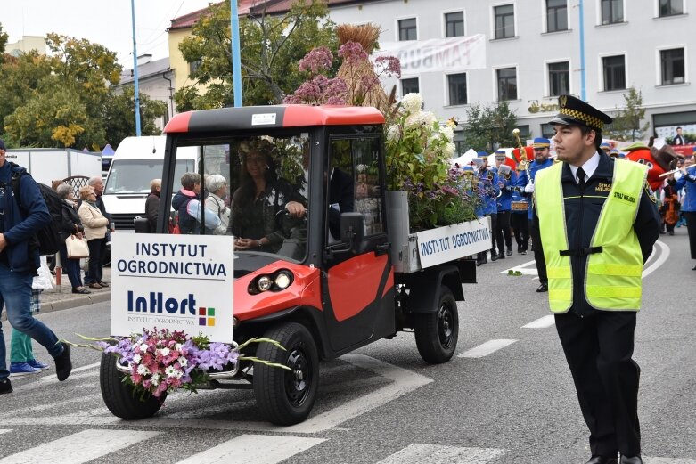  Parada smaków, kolorów i radości na ulicach Skierniewic. Ale widowisko! 