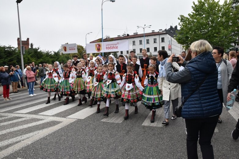  Parada smaków, kolorów i radości na ulicach Skierniewic. Ale widowisko! 