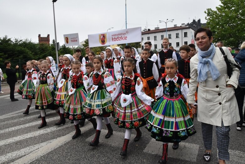  Parada smaków, kolorów i radości na ulicach Skierniewic. Ale widowisko! 