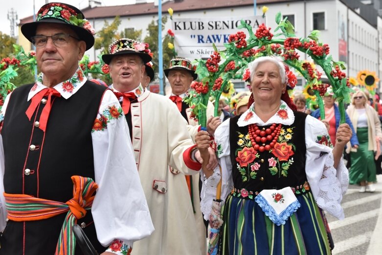  Parada smaków, kolorów i radości na ulicach Skierniewic. Ale widowisko! 