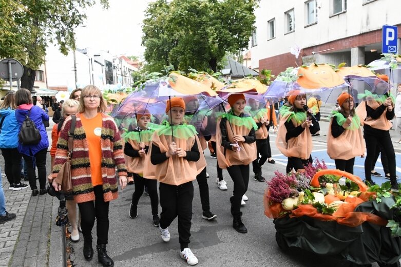  Parada smaków, kolorów i radości na ulicach Skierniewic. Ale widowisko! 