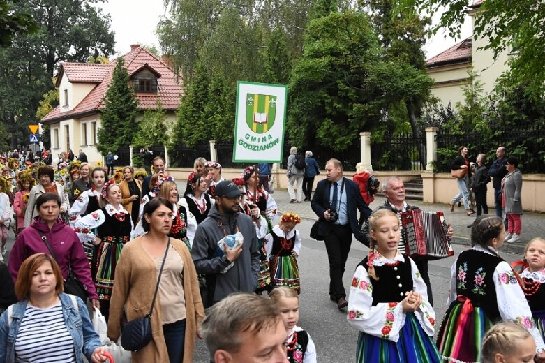  Parada smaków, kolorów i radości na ulicach Skierniewic. Ale widowisko! 