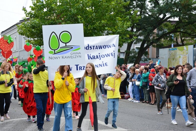  Parada smaków, kolorów i radości na ulicach Skierniewic. Ale widowisko! 