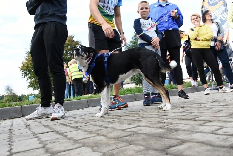  Piękna inicjatywa ludzi z wielkim sercem 