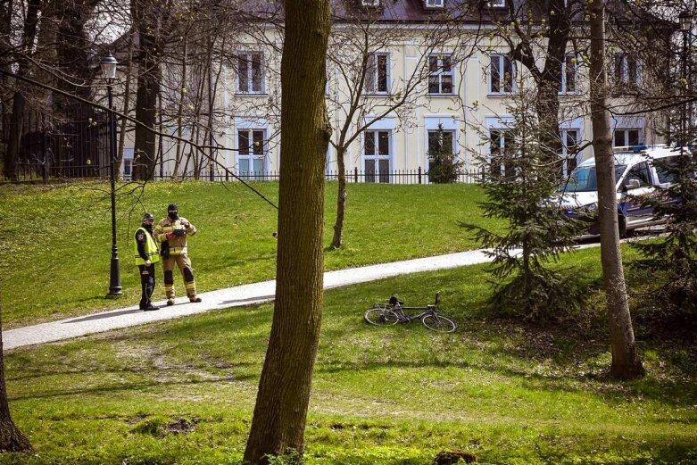  Pożar drzewa w skierniewickim parku 