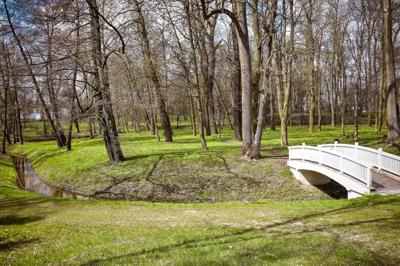  Pożar drzewa w skierniewickim parku 