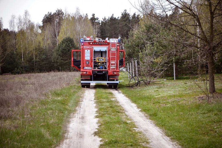  Pożar w lesie na Zadębiu 