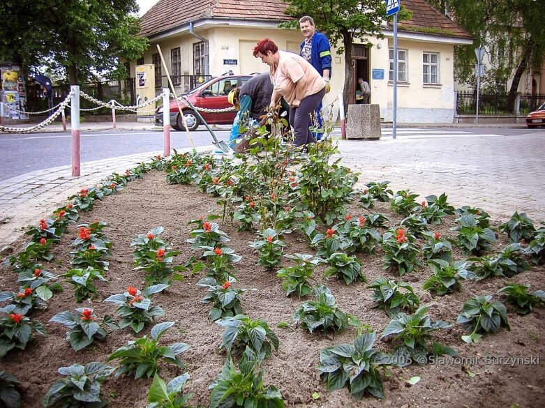  Skierniewice A.D. 2005 - zobacz zdjęcia sprzed 15 lat 