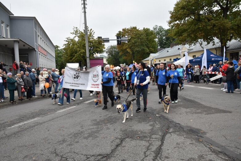  Świąteczna parada przeszła zupełnie nową trasą 