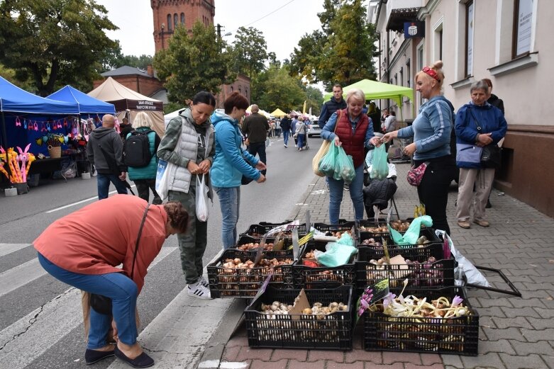  Świąteczny gwar na ulicach Skierniewic 