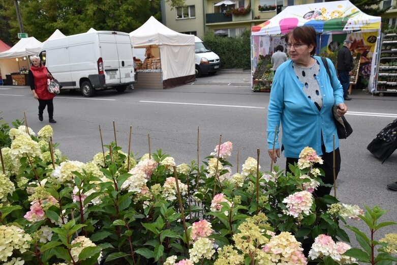  Świąteczny gwar na ulicach Skierniewic 