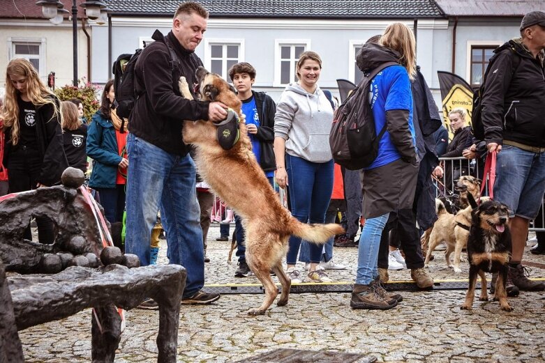  Święto kwiatów 2021: Parada (ZDJĘCIA) 