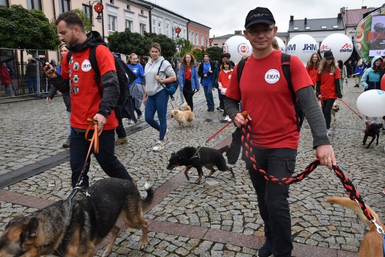  ŚWIĘTO KWIATÓW 2021: Smaki Skierniewic 