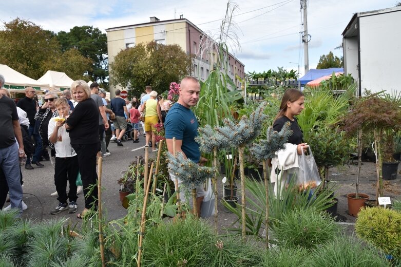  Święto Kwiatów, Owoców i Warzyw w Skierniewicach – drugi dzień pełen atrakcji 