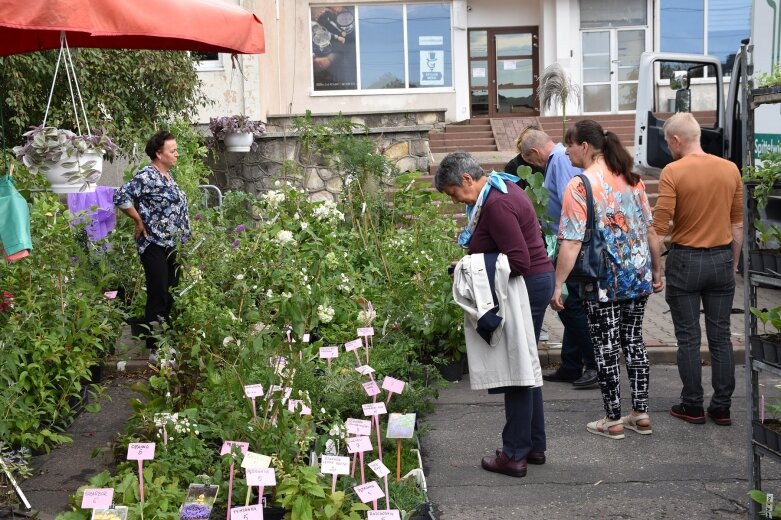  Święto Kwiatów, Owoców i Warzyw w Skierniewicach – drugi dzień pełen atrakcji 