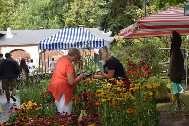  Święto Kwiatów, Owoców i Warzyw w Skierniewicach – drugi dzień pełen atrakcji 