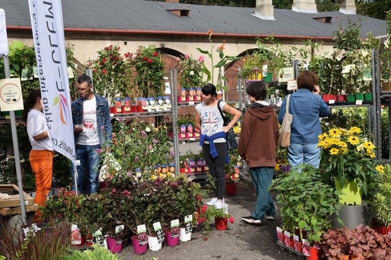  Święto Kwiatów, Owoców i Warzyw w Skierniewicach – drugi dzień pełen atrakcji 