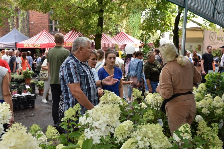  Święto Kwiatów, Owoców i Warzyw w Skierniewicach – drugi dzień pełen atrakcji 